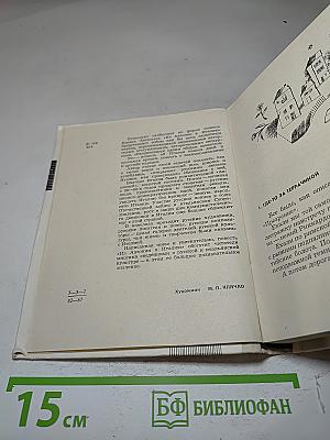 Из Авзонии в Италию
