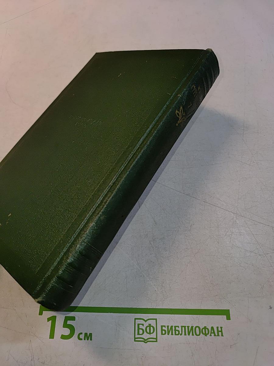Собрание сочинений. Том седьмой. Повести и рассказы 1863-1870 годов