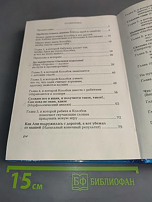 Думаем, изобретаем, открываем мир