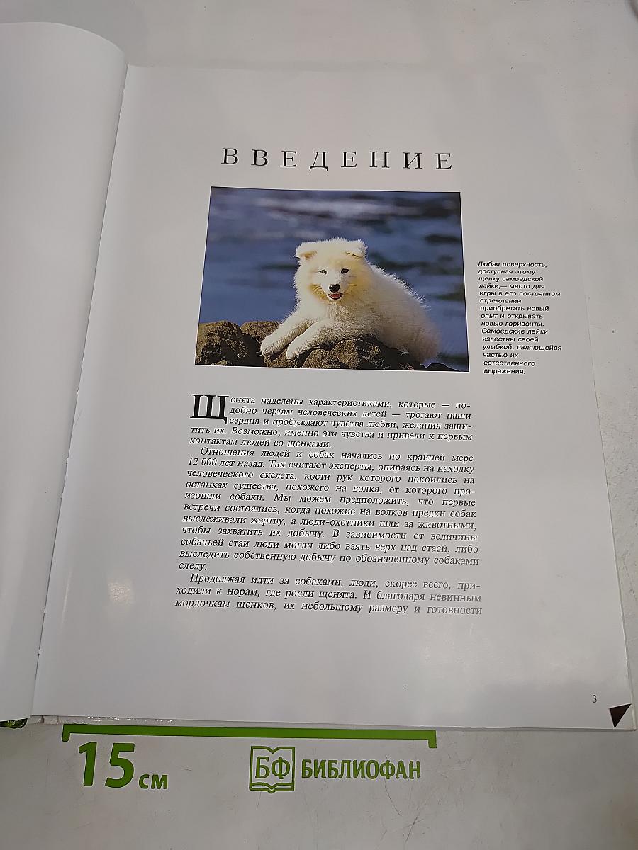 Щенята. Мир животных