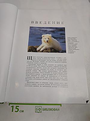 Щенята. Мир животных