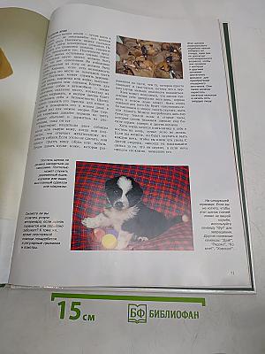 Щенята. Мир животных