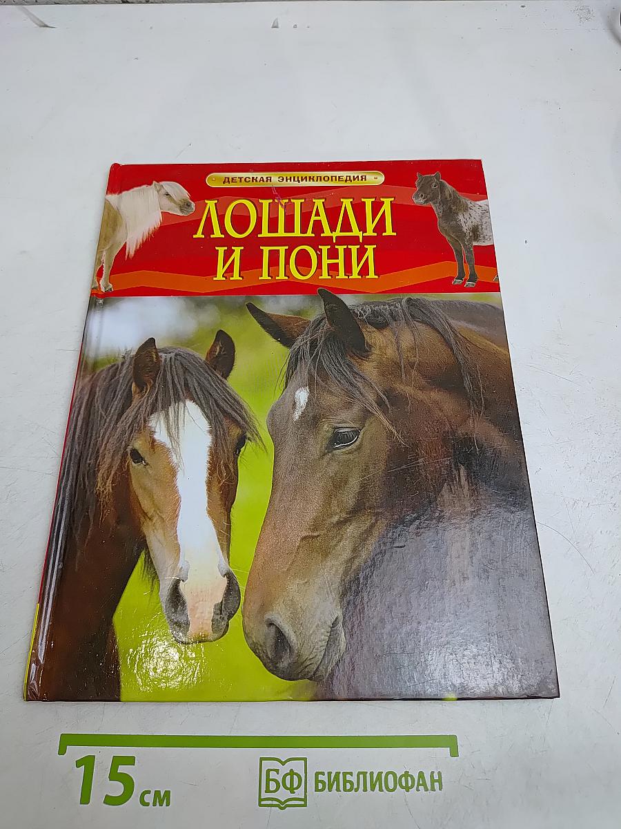 Лошади и пони