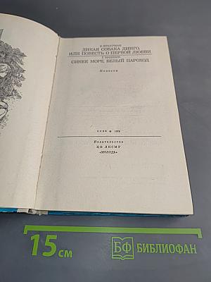 Дикая собака Динго, или Повесть о первой любви. Синее море, белый пароход