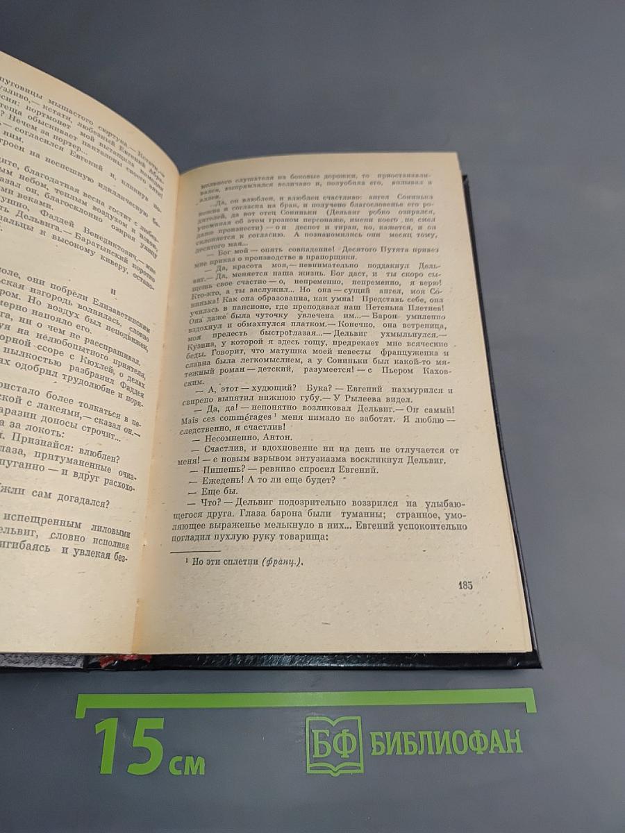 Недуг бытия. Хроника дней Евгения Баратынского
