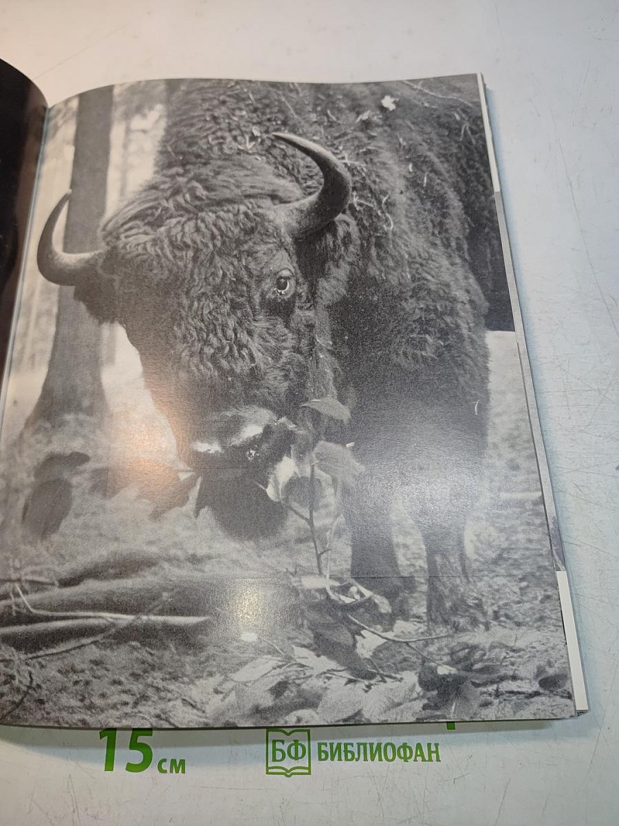 Polska w fotografii artystycznej