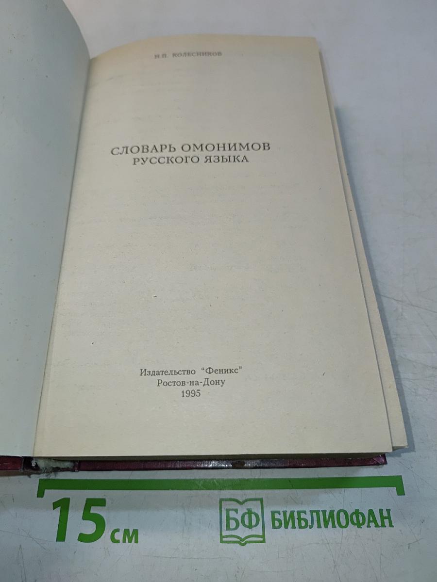 Словарь омонимов русского языка