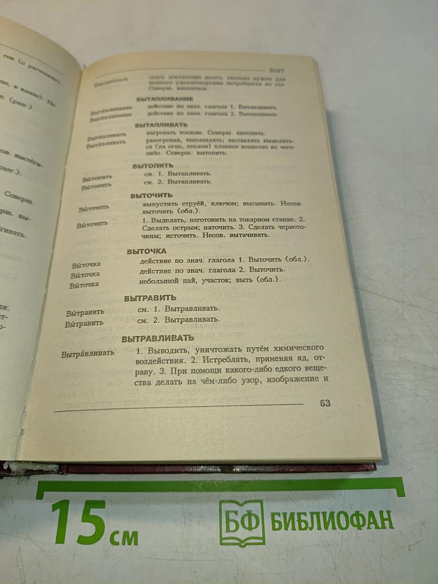 Словарь омонимов русского языка