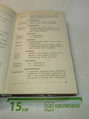 Словарь омонимов русского языка