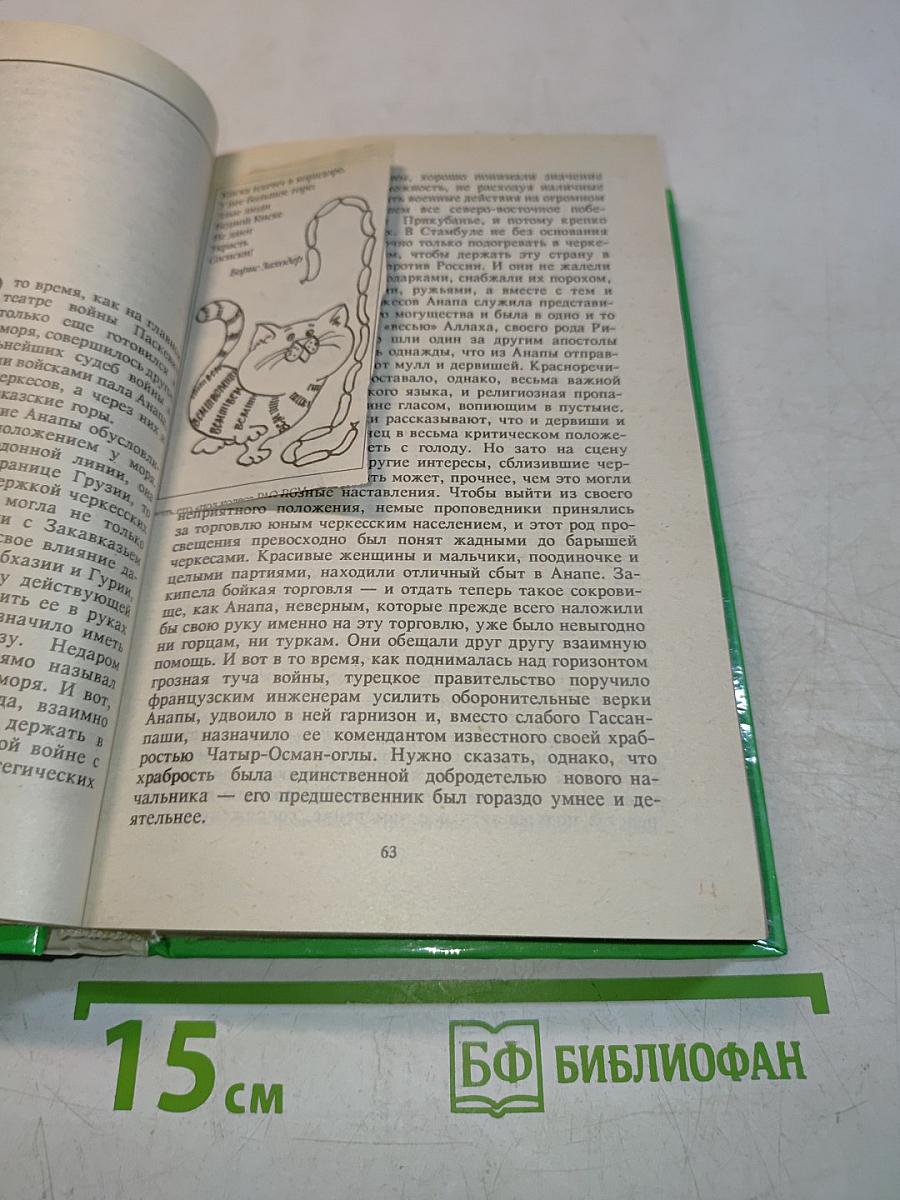 Кавказская война. Турецкая война 1828-1829 гг. Том 4