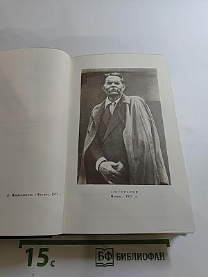 Жизнь Клима Самгина (Сорок лет) 1925-1936. Том двадцать пятый
