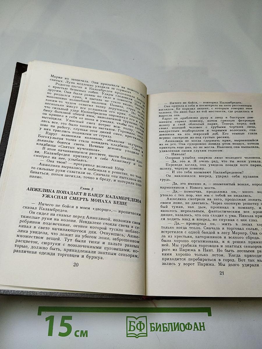Анжелика. Путь в Версаль. Анжелика и король