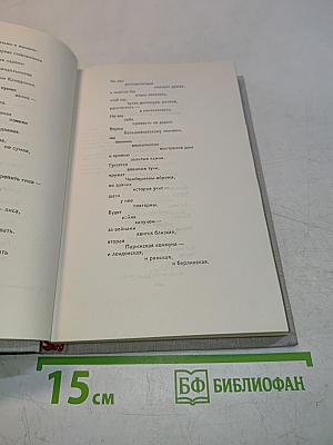 Собрание сочинений в восьми томах. Том 6. Стихотворения. Статьи и выступления