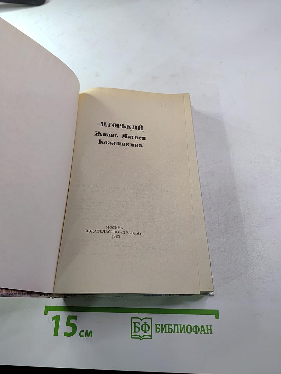 Жизнь Матвея Кожемякина