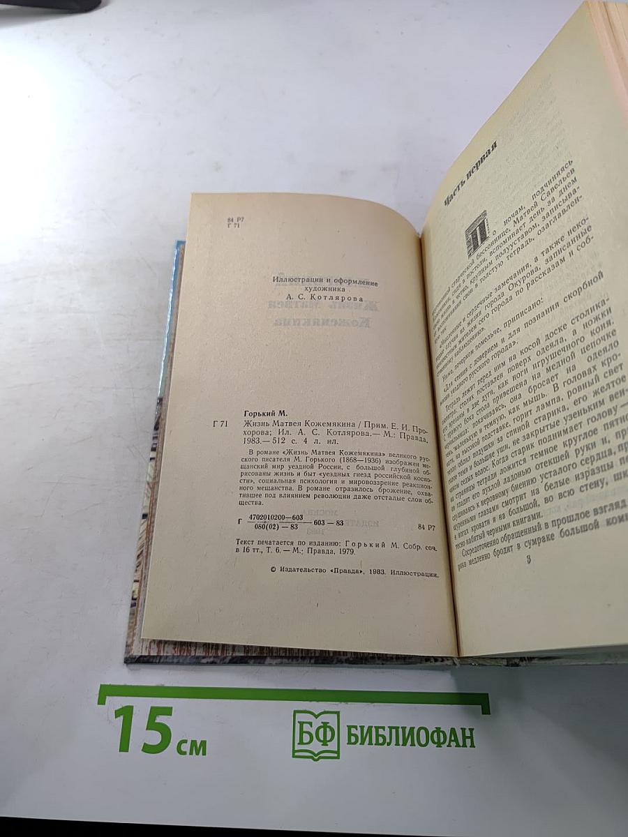 Жизнь Матвея Кожемякина