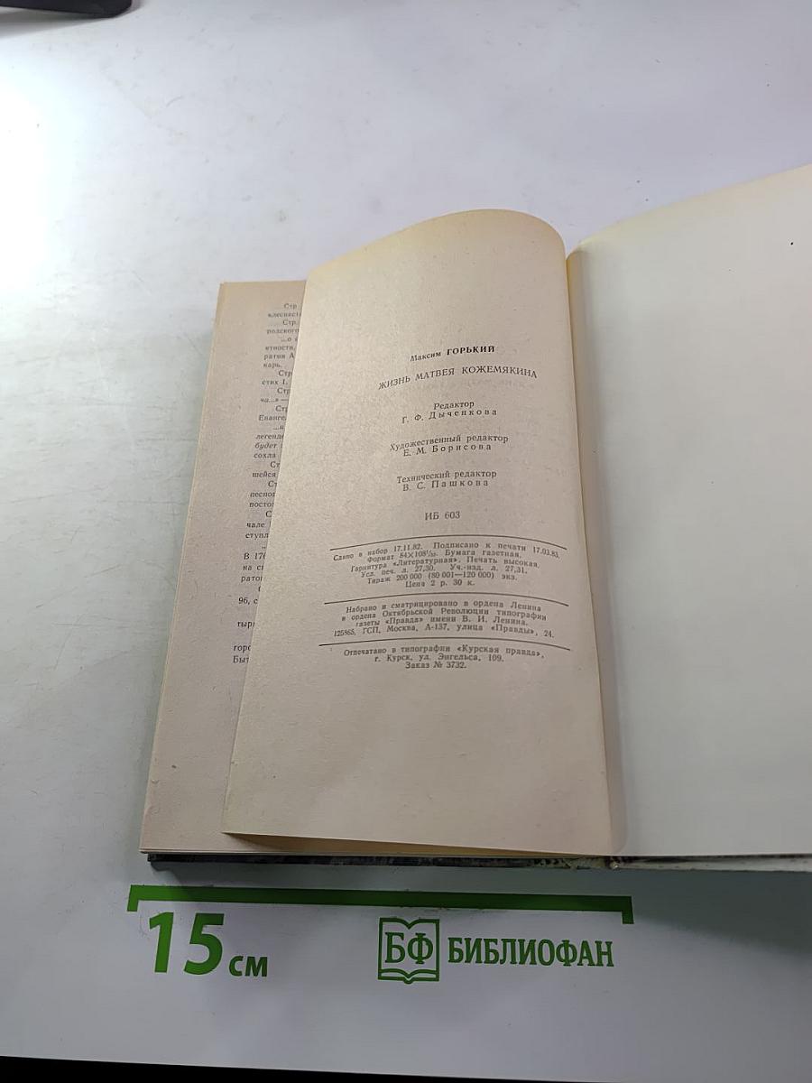 Жизнь Матвея Кожемякина