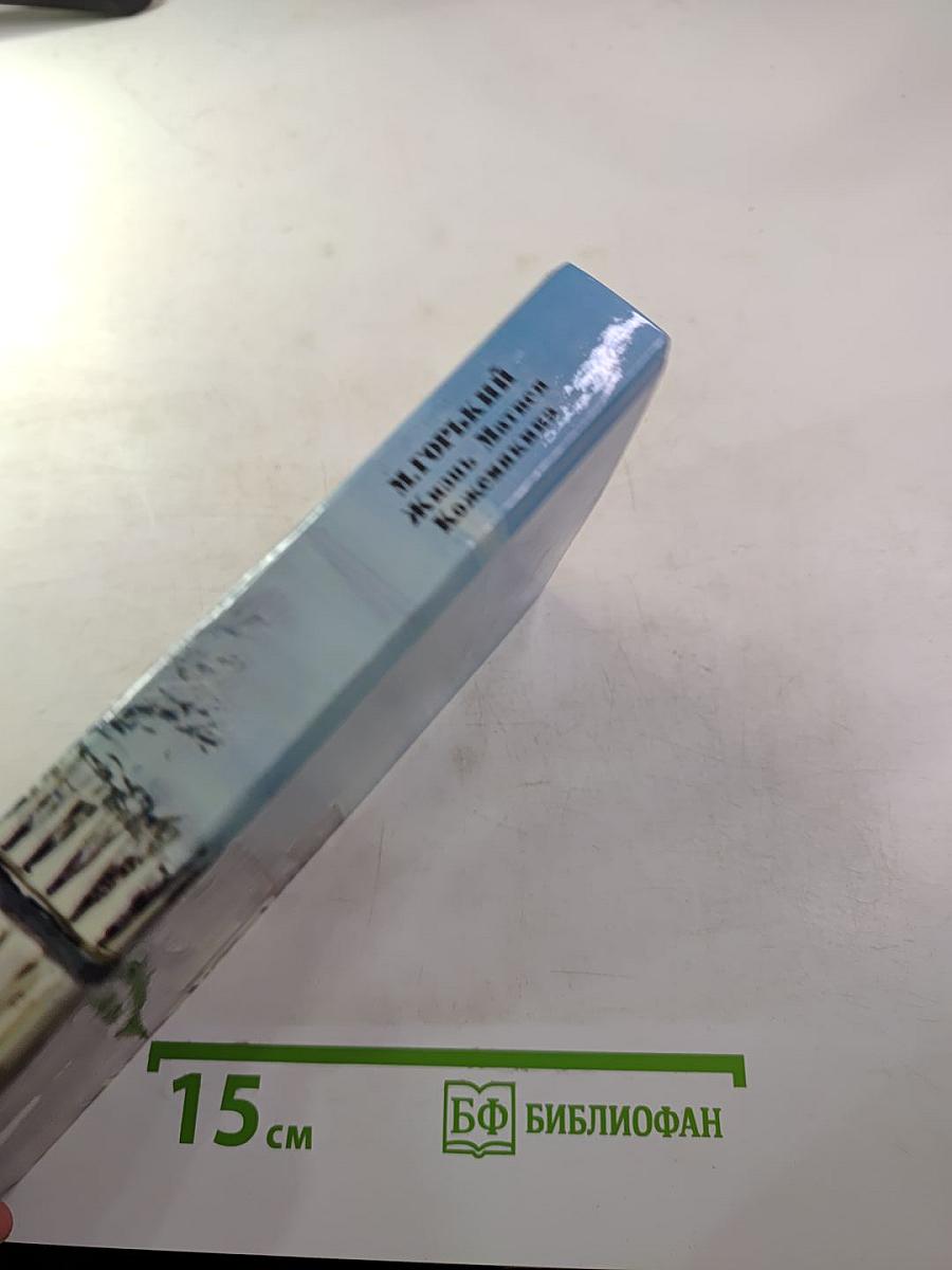 Жизнь Матвея Кожемякина