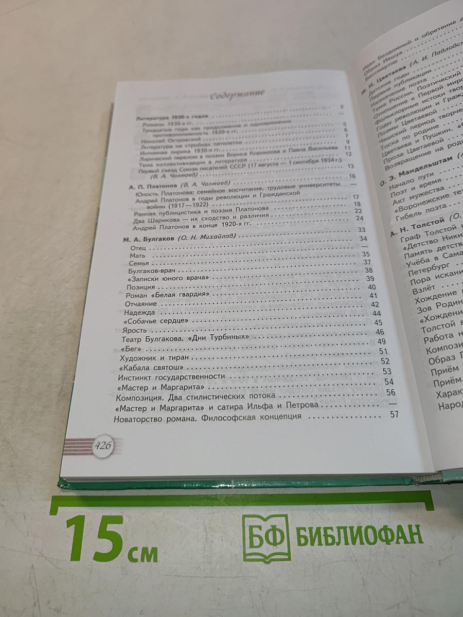 Литература 11 класс Часть 2