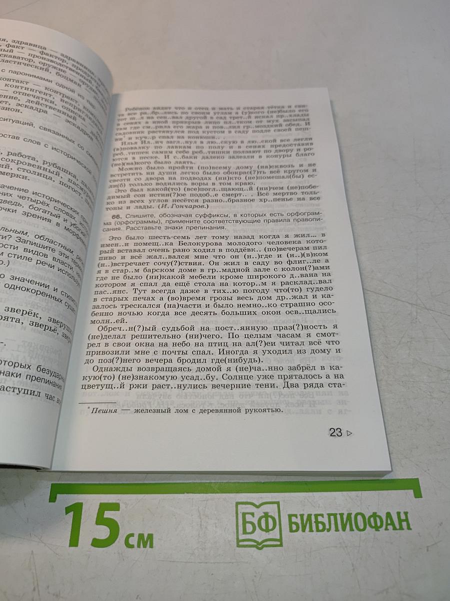Русский язык. Дидактические материалы. 10-11 классы