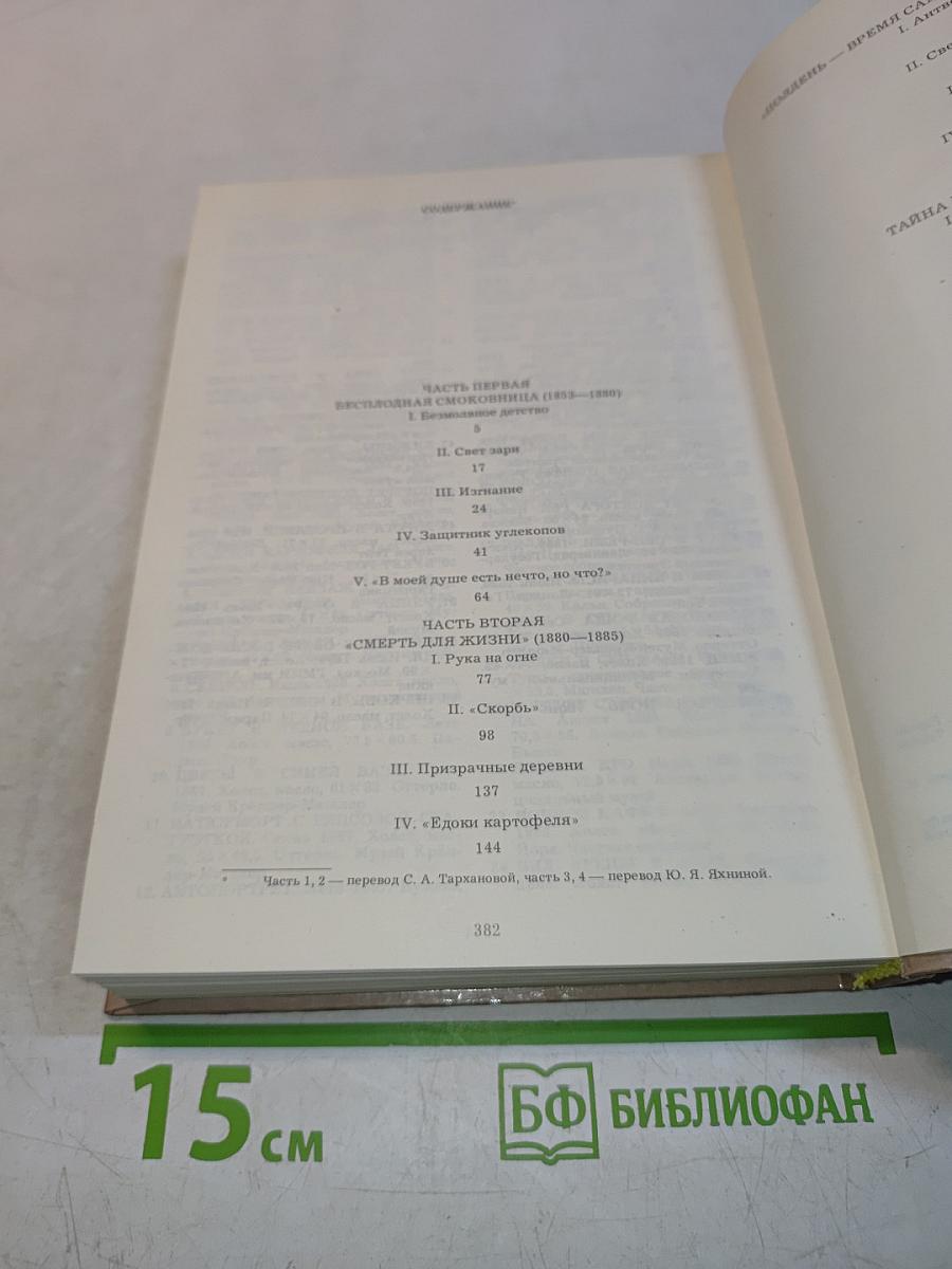 Жизнь Ван Гога
