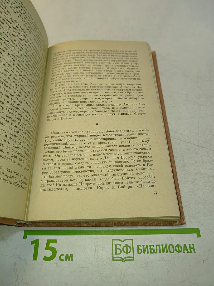 Императорские фиалки