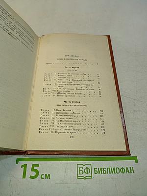 Железный король. Принцесса Шампатайя