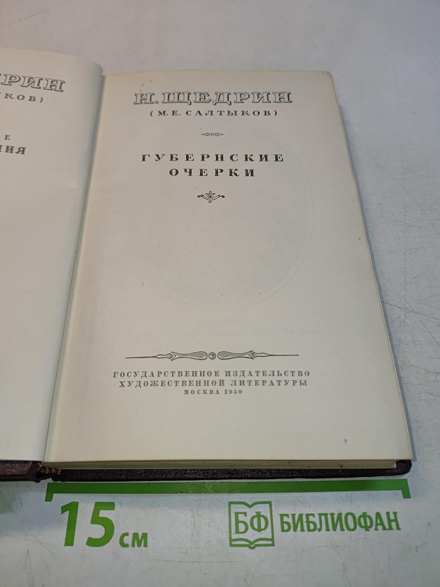 Губернские очерки. Том I
