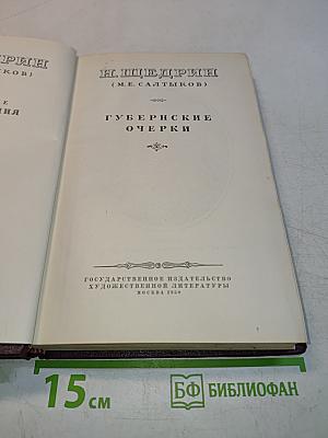 Губернские очерки. Том I