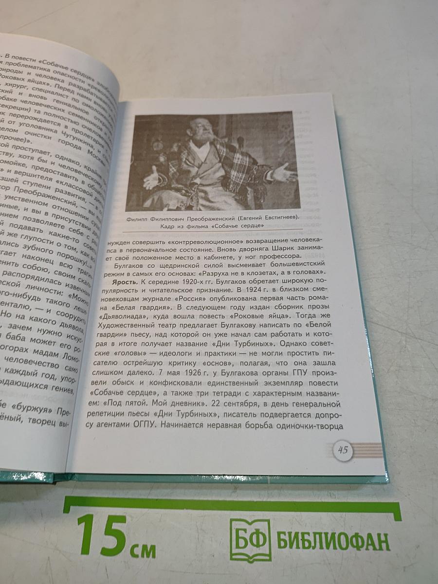 Литература. 11 класс. Часть 2. Базовый уровень