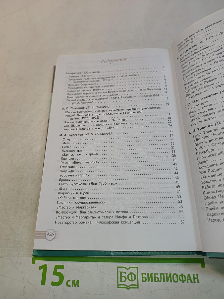 Литература. 11 класс. Часть 2. Базовый уровень