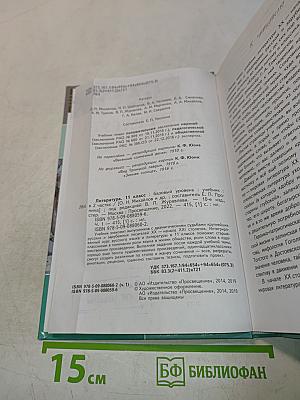 Литература. 11 класс. Часть 1