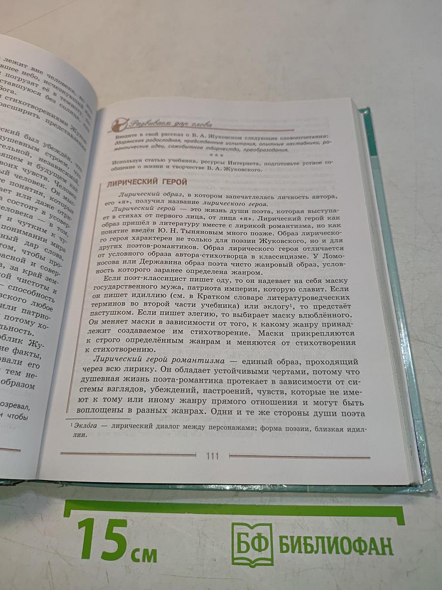 Литература. 9 класс. Часть 1