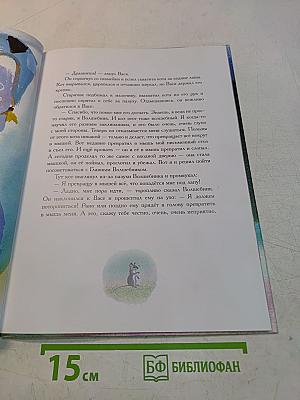 Не буду просить прощения