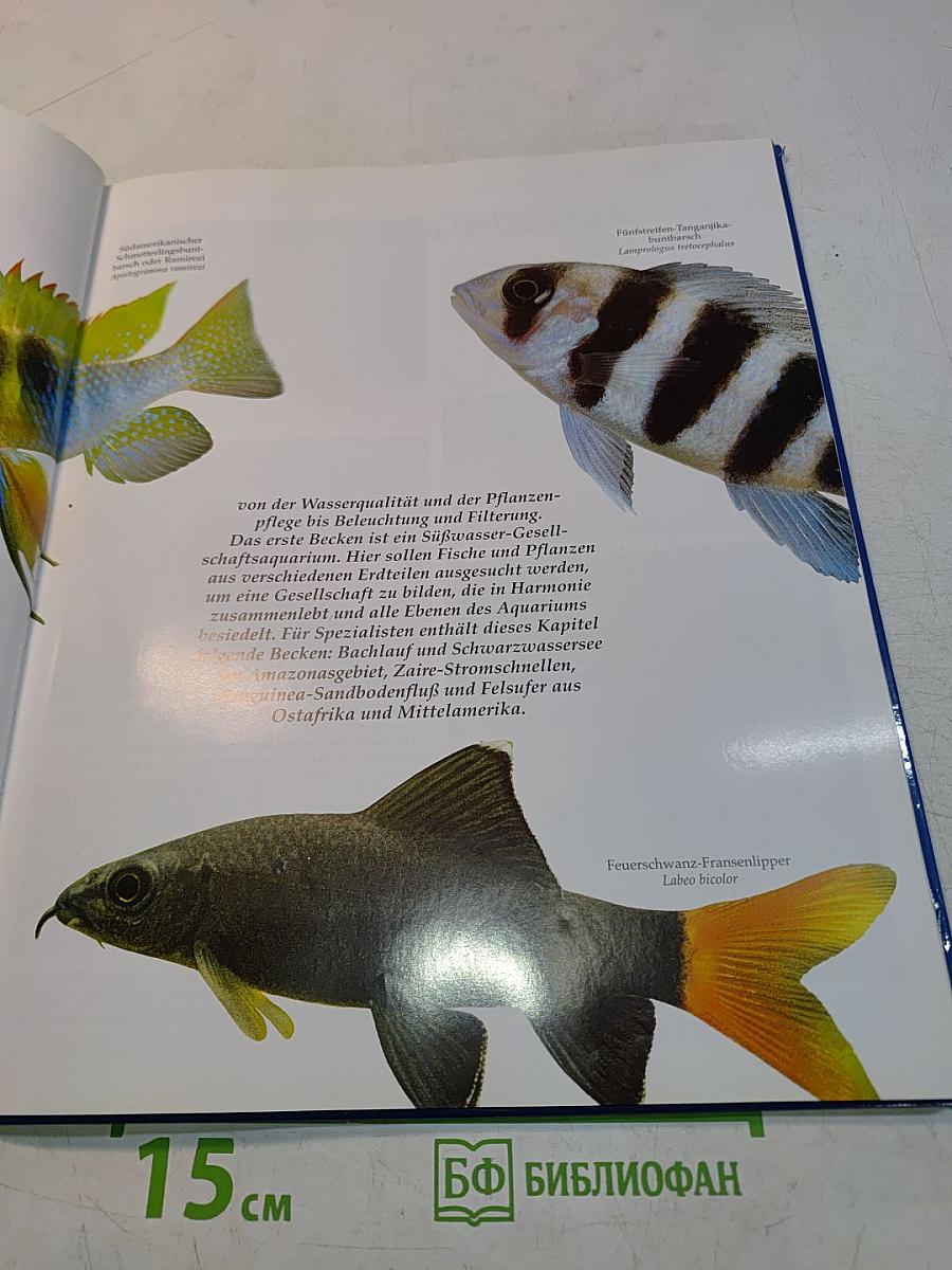 Das Aquarienhandbuch