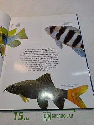 Das Aquarienhandbuch