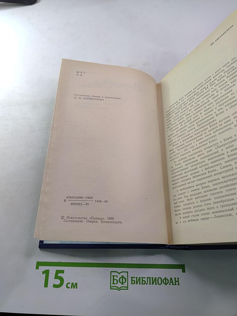 Я лучшей доли не искал... Судьба Александра Блока в письмах, дневниках, воспоминаниях