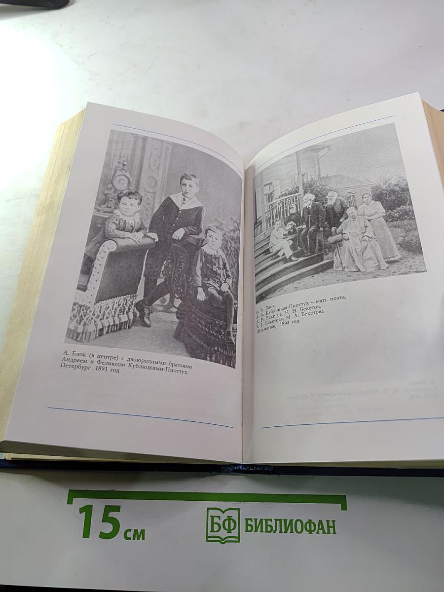 Я лучшей доли не искал... Судьба Александра Блока в письмах, дневниках, воспоминаниях