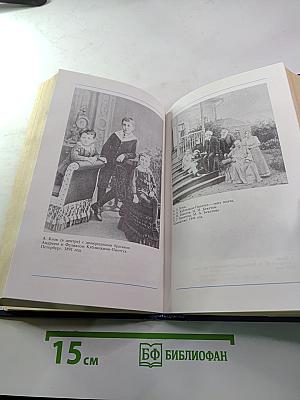 Я лучшей доли не искал... Судьба Александра Блока в письмах, дневниках, воспоминаниях