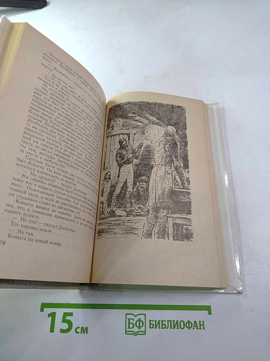 Мещанское счастье. Очерки бурсы