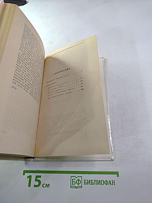 Мещанское счастье. Очерки бурсы