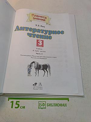 Литературное чтение. 3 класс. Часть 3