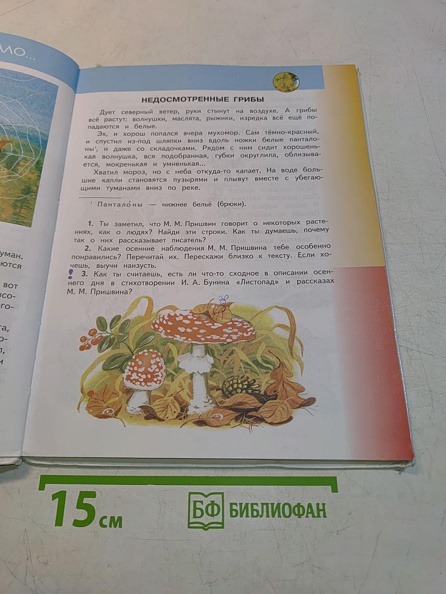 Литературное чтение. 3 класс. Часть 1