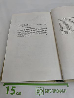 Вечер. Окна. Люди