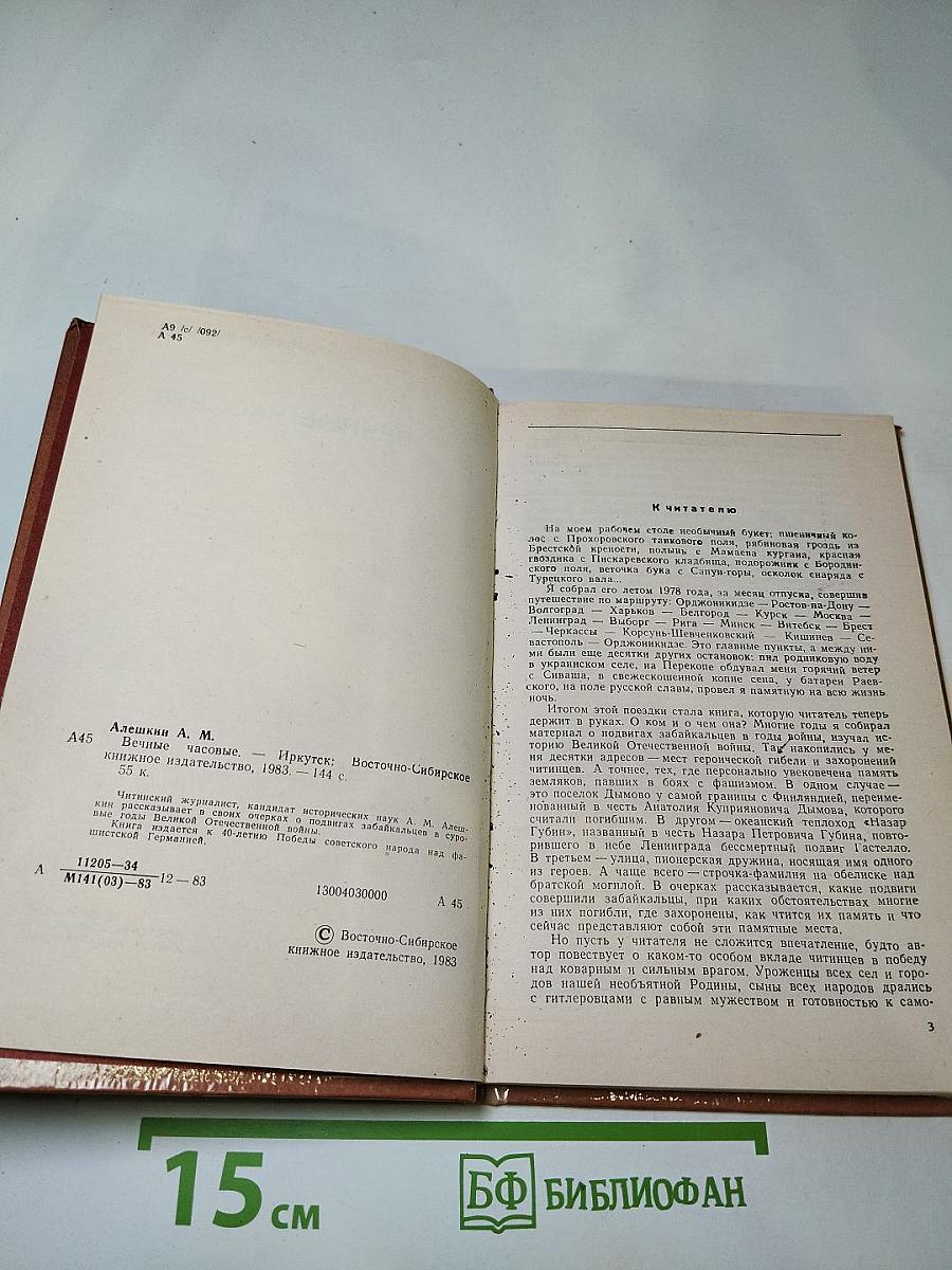 Вечные часовые