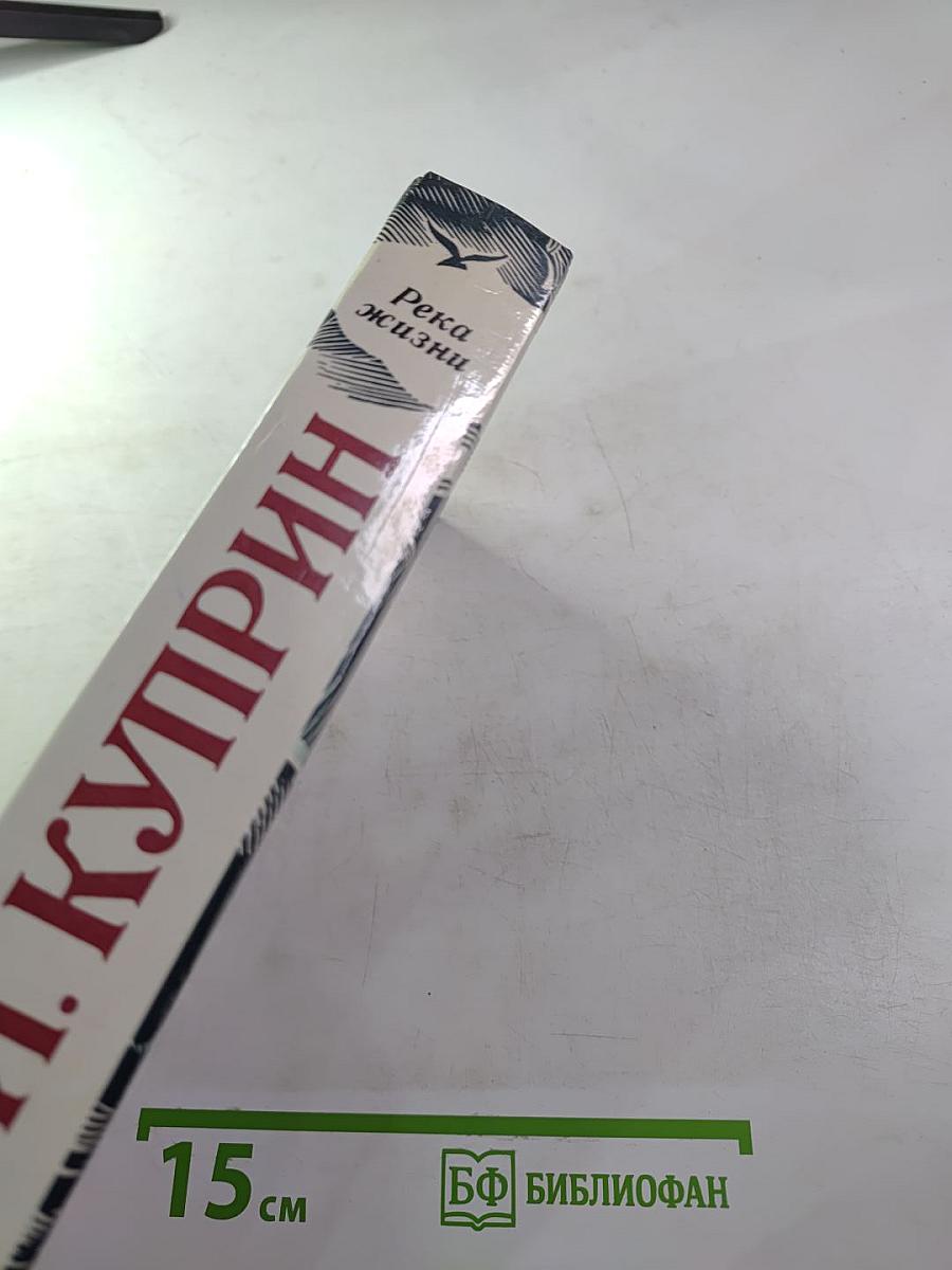 Река жизни. Повести и рассказы