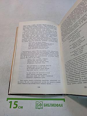 Русская литература. Учебник для 10 класса