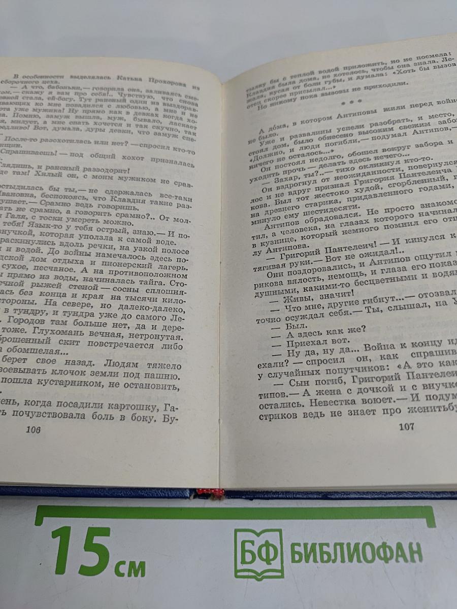 Вечные хлопоты. Книга первая