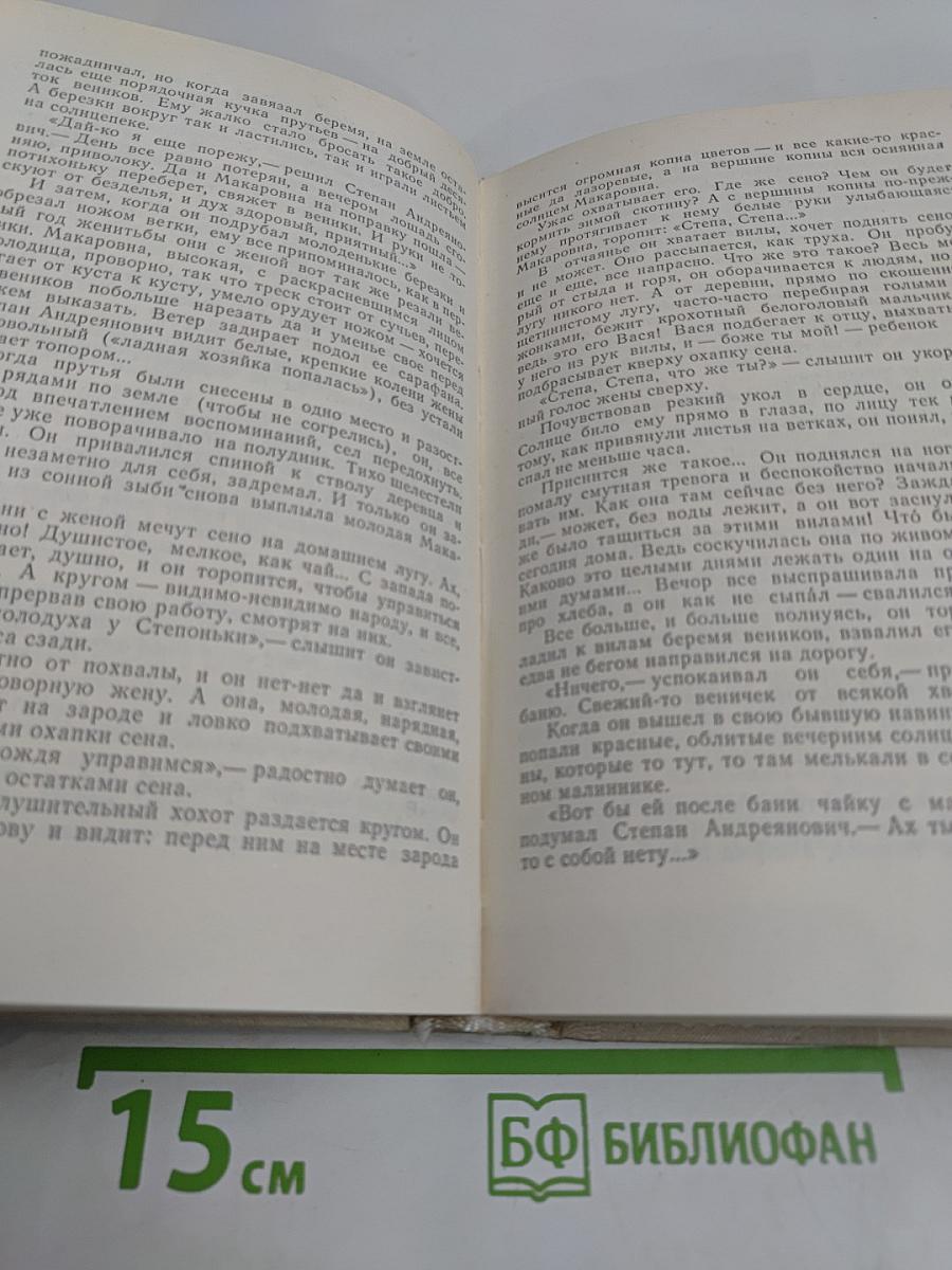 Братья и сестры