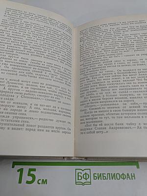 Братья и сестры