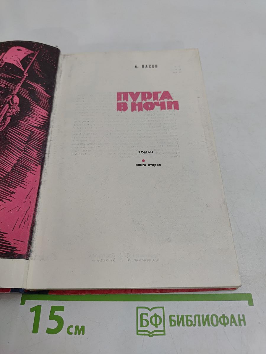 Пурга в ночи. Книга вторая